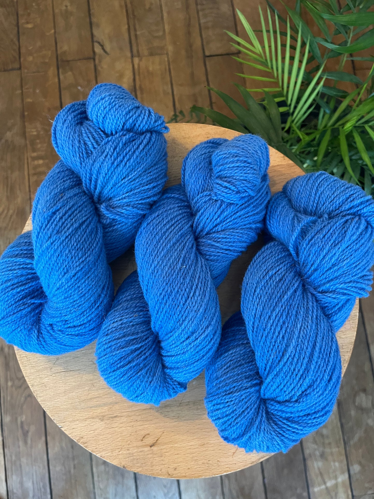 Bleu Alamode - La Rustique - Sport