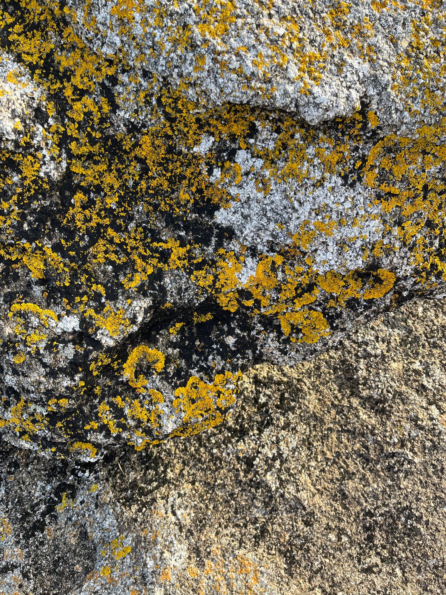 Granite (précommande)