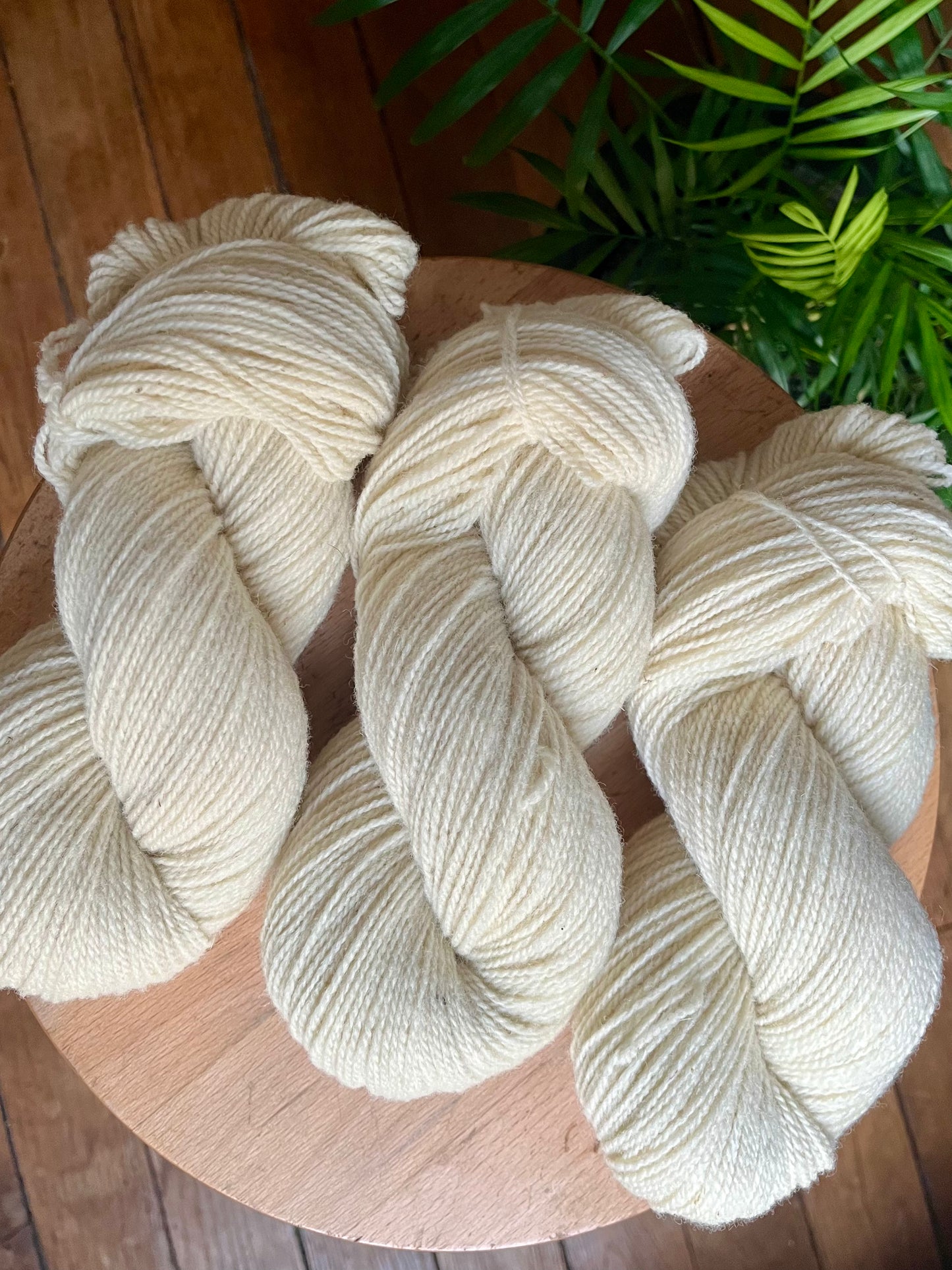 Nature Peinture - La Rustique - Sport