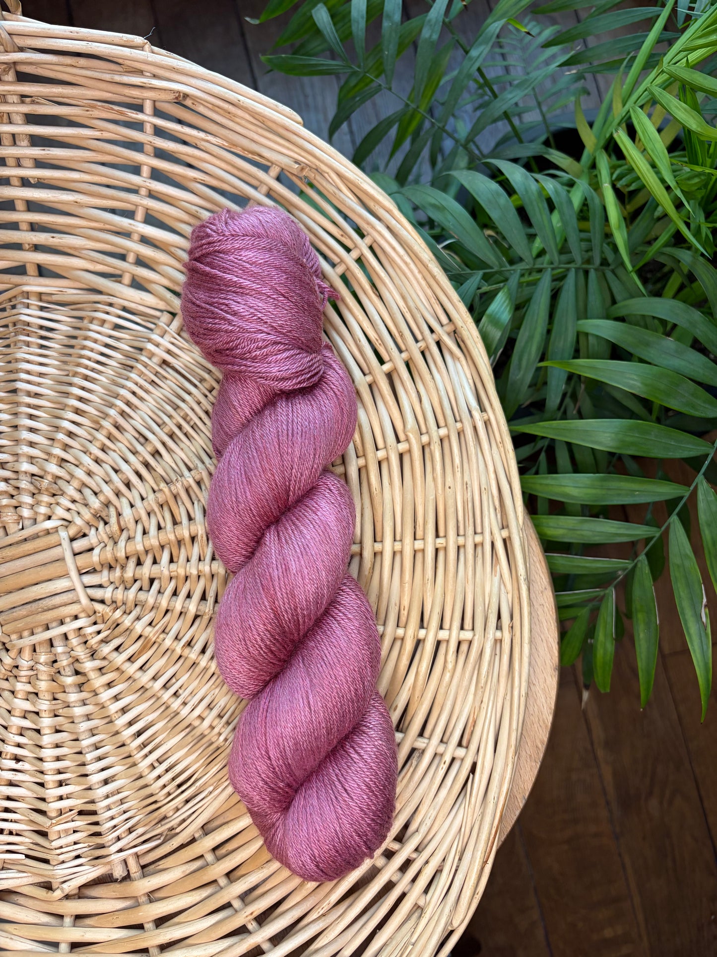 La Soyeuse (pécommande)