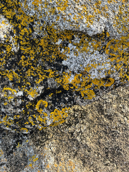 Granite (précommande)