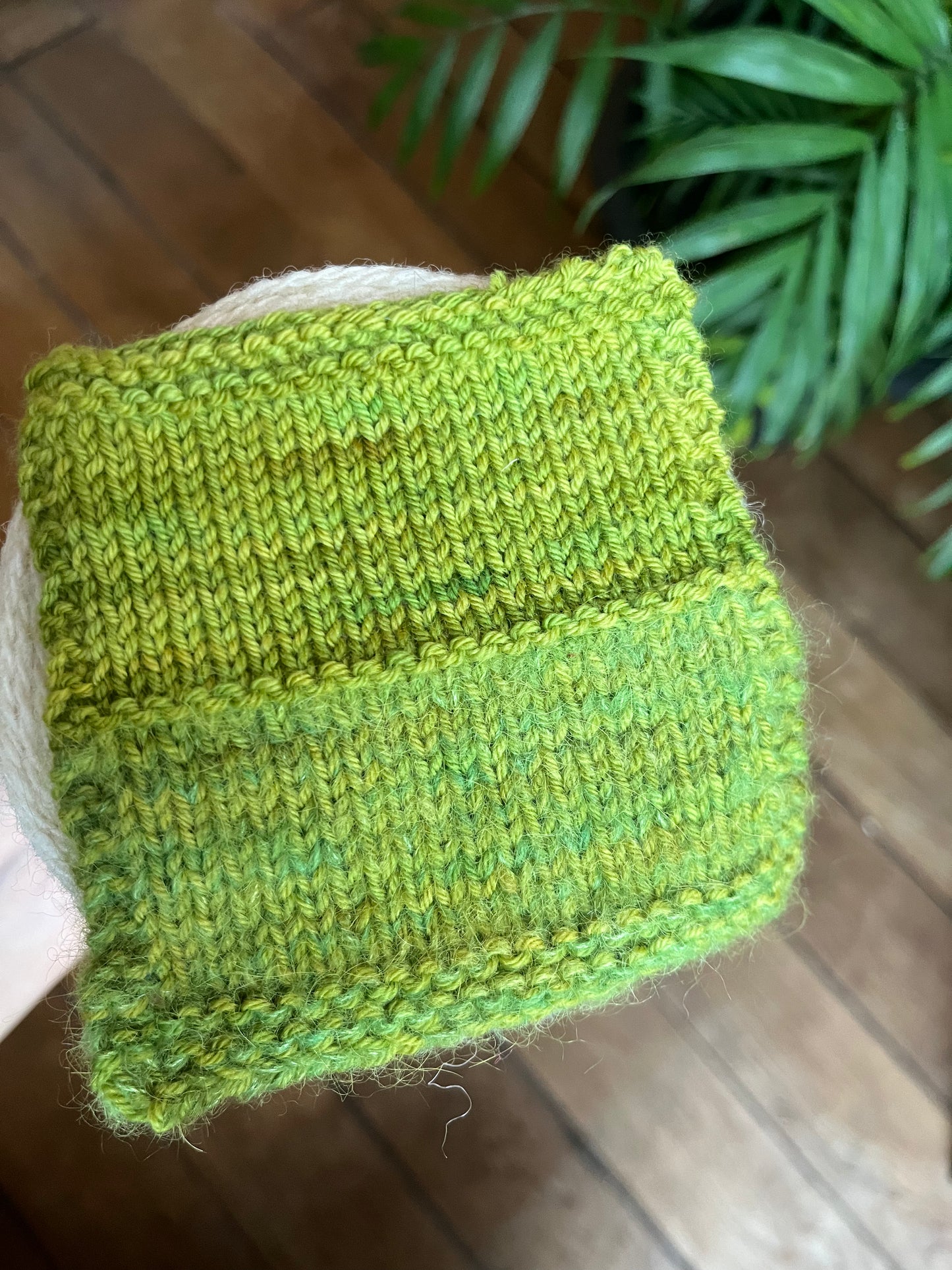 Guacamole - Nuage 800 - Lace